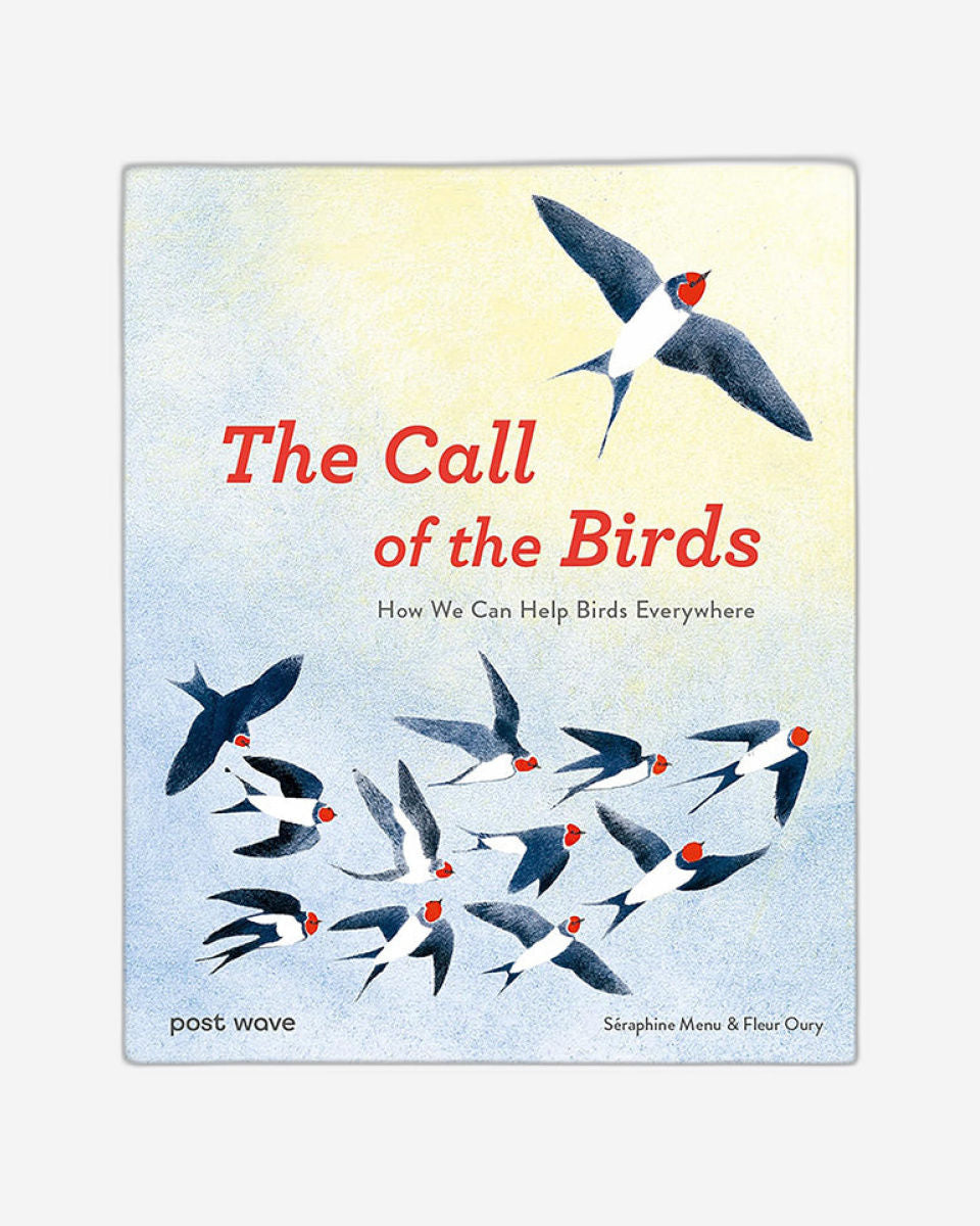 نداء الطيور: كيف يمكننا مساعدة الطيور في كل مكان