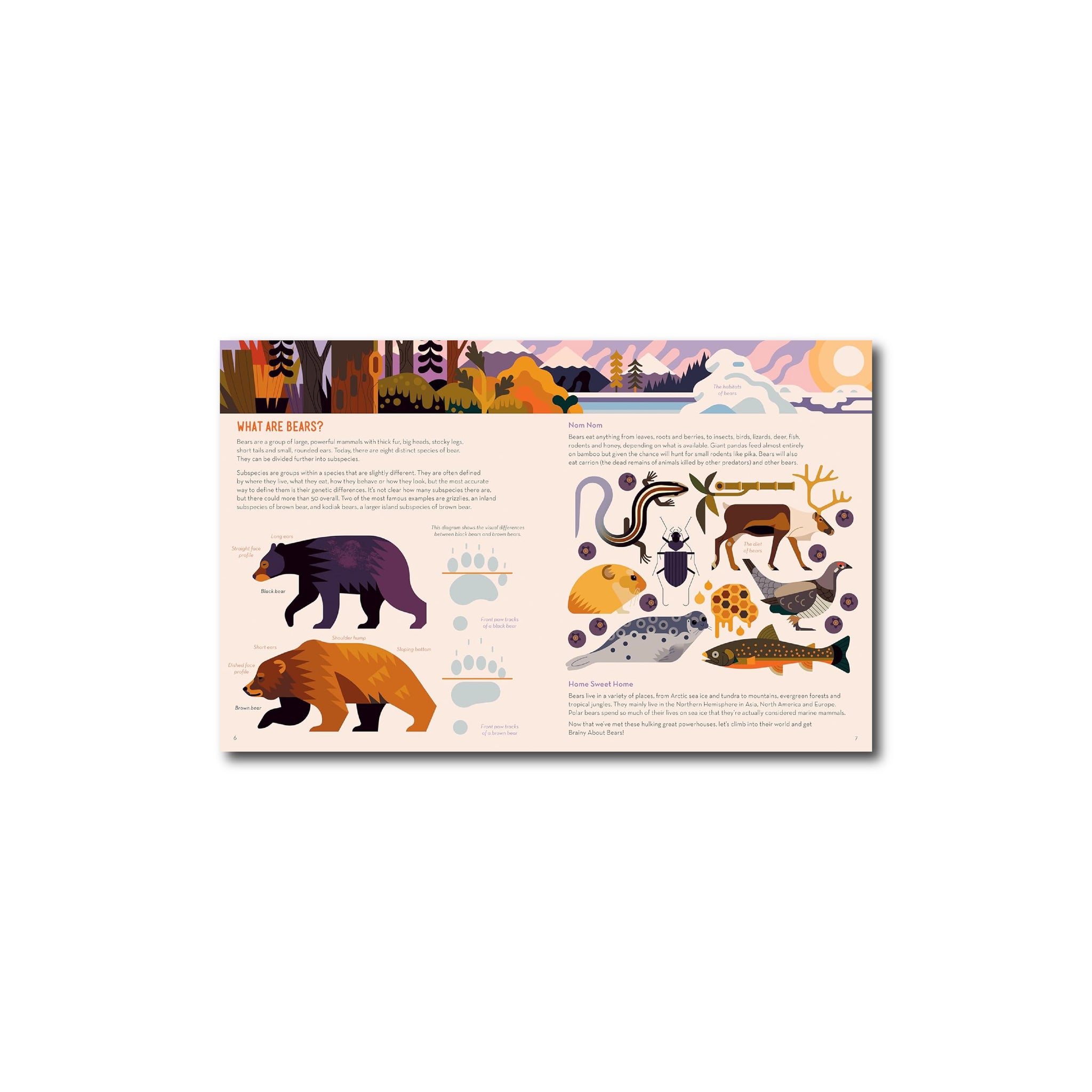 ذكي بشأن الدببة