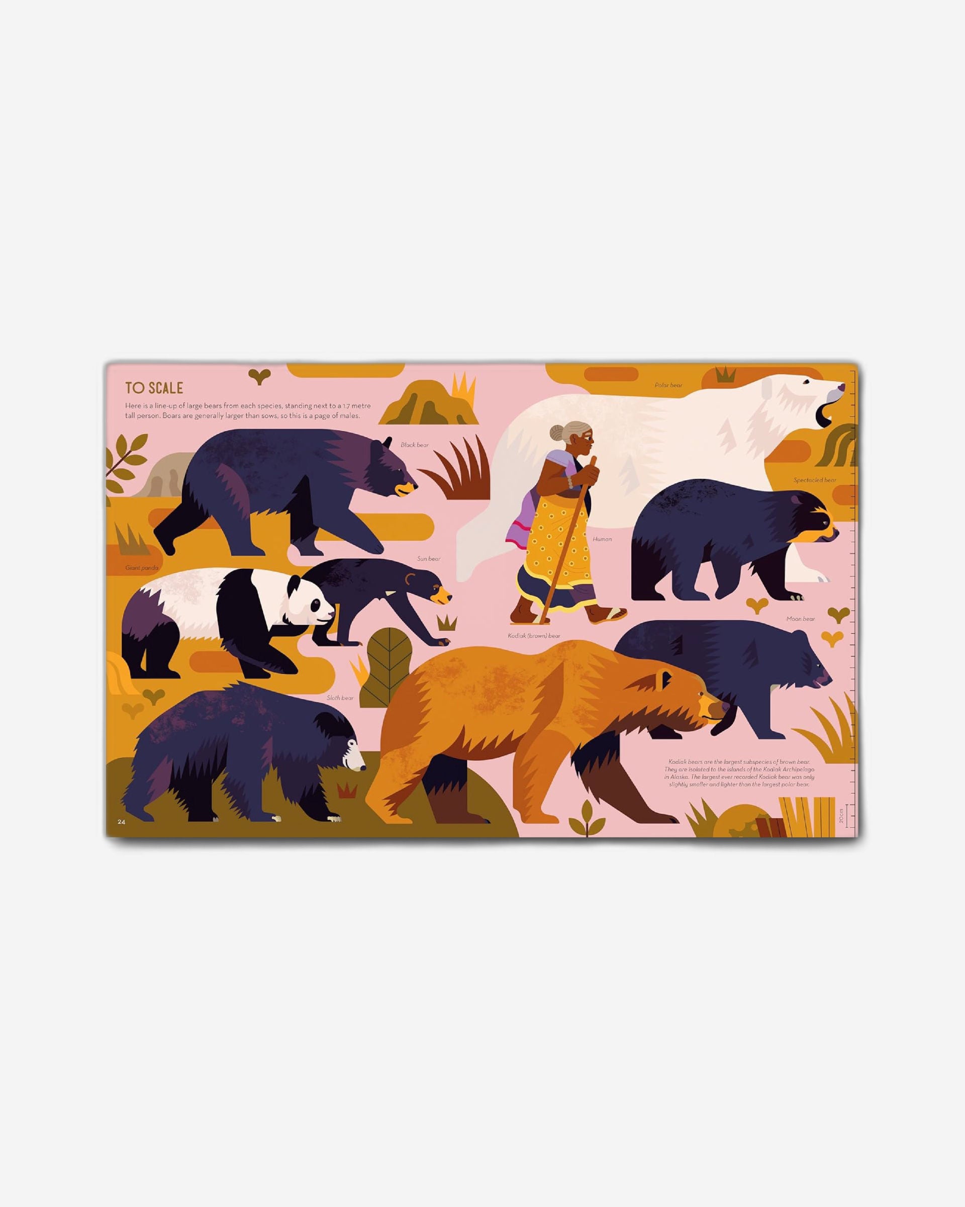 ذكي بشأن الدببة