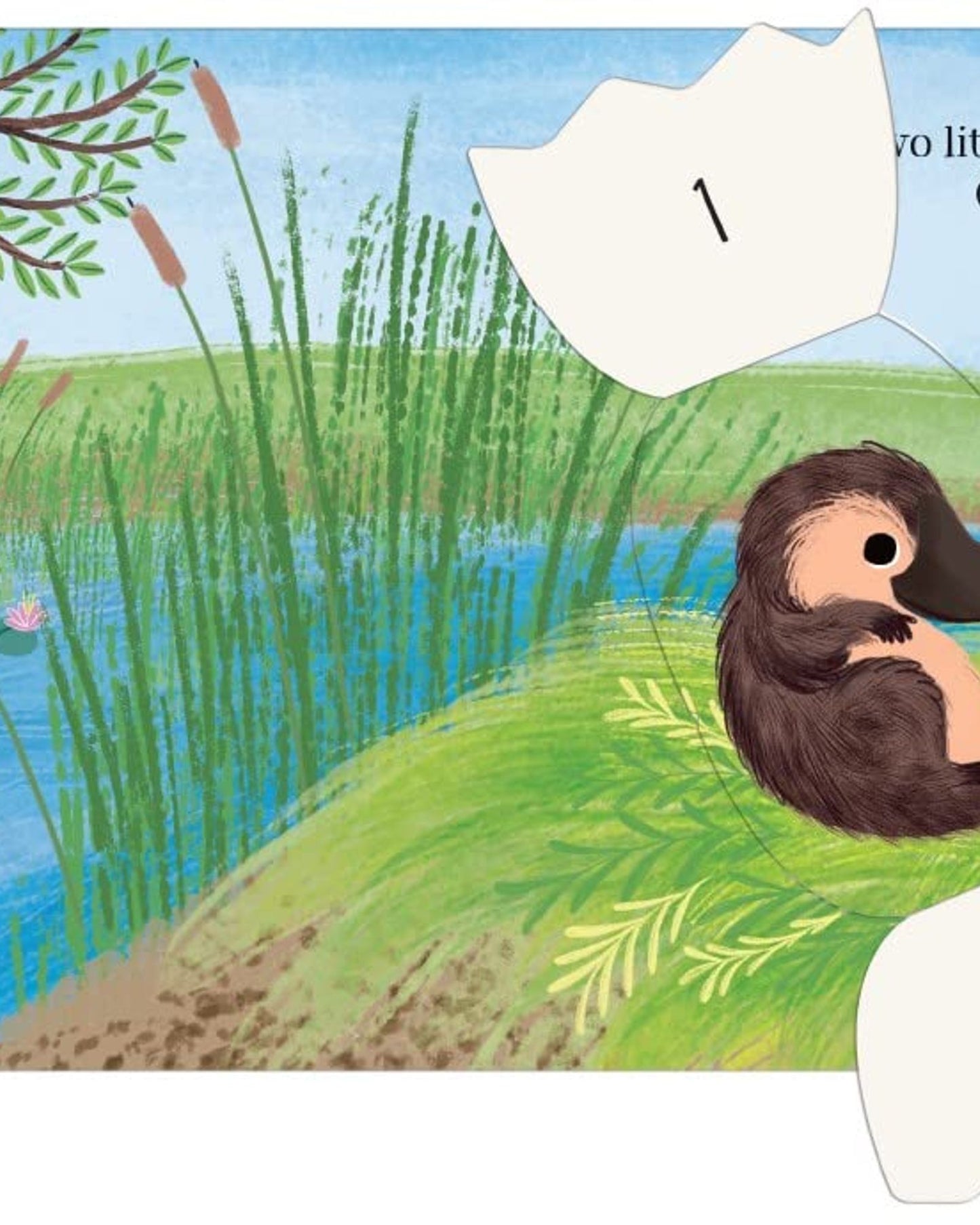 البيض! : كتاب العد المرفوع المليء بالمفاجآت!