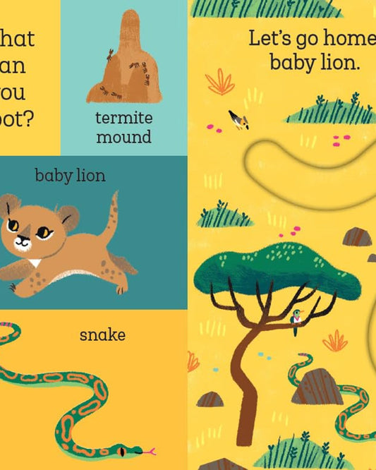 دعنا نعود إلى المنزل، يا صغيري الأسد