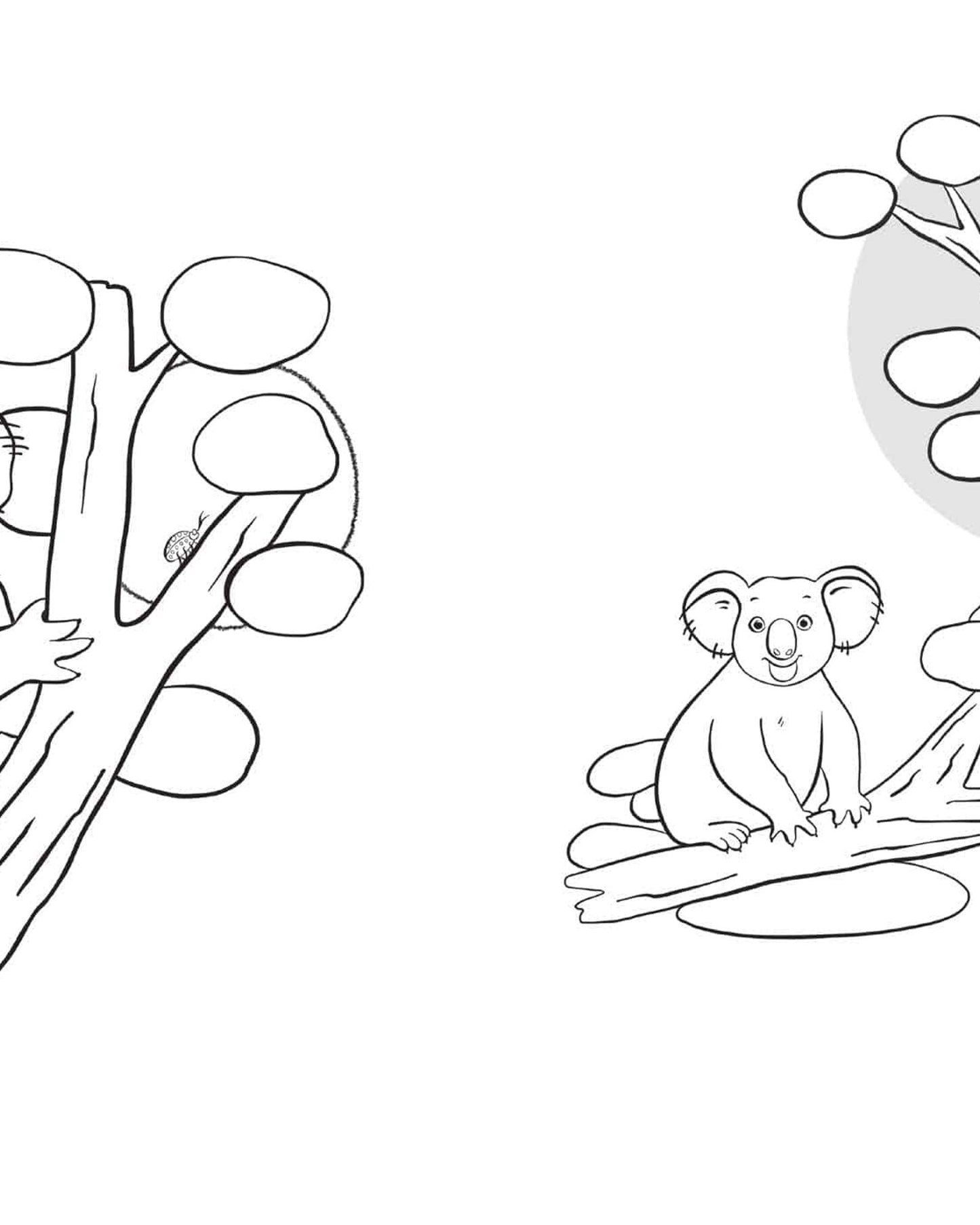 كتاب تلوين كانجارو كراش (سلسلة كراش)