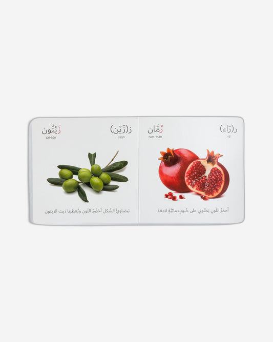 النباتات