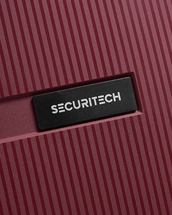 حقيبة ديلسي باريس ستون الصلبة ذات العجلات الأربع