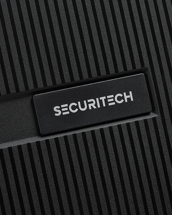 حقيبة ديلسي باريس ستون الصلبة ذات العجلات الأربع