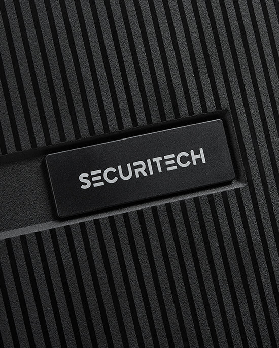 حقيبة ديلسي باريس ستون الصلبة ذات العجلات الأربع