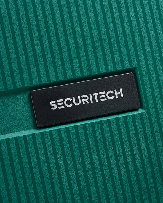 حقيبة ديلسي باريس ستون الصلبة ذات العجلات الأربع