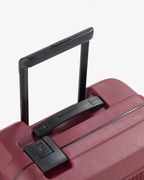 حقيبة ديلسي باريس ستون الصلبة ذات العجلات الأربع