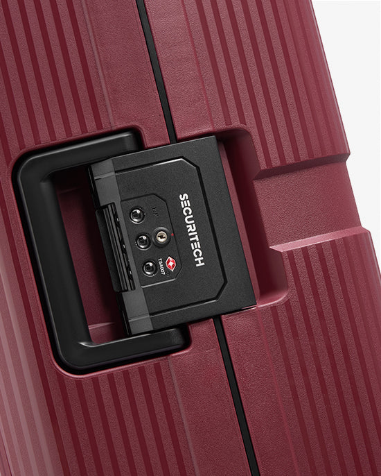 حقيبة ديلسي باريس ستون الصلبة ذات العجلات الأربع