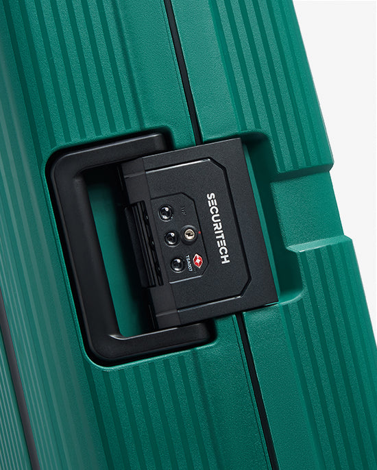 حقيبة ديلسي باريس ستون الصلبة ذات العجلات الأربع