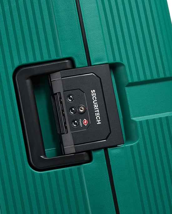 حقيبة ديلسي باريس ستون الصلبة ذات العجلات الأربع