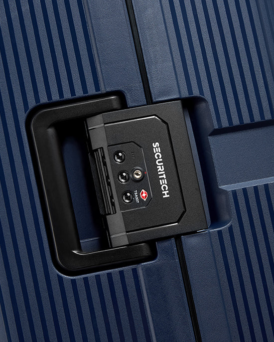 حقيبة ديلسي باريس ستون الصلبة ذات العجلات الأربع