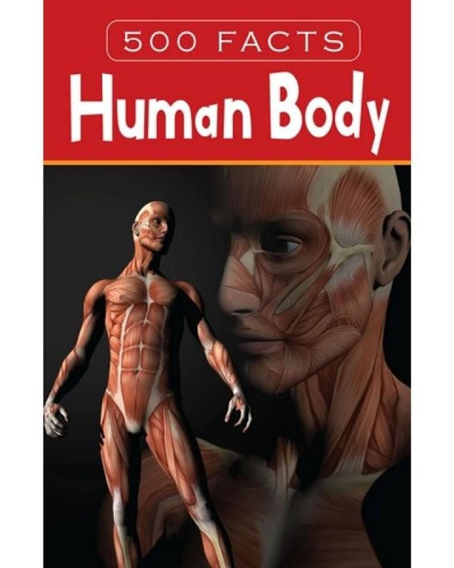 500 حقيقة عن جسم الإنسان