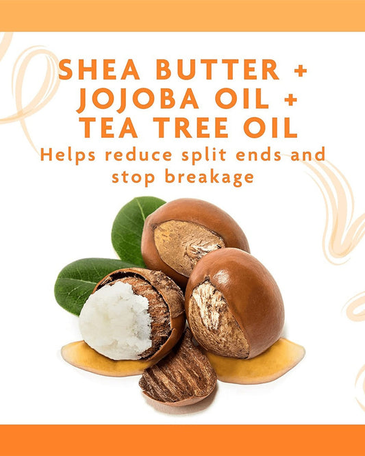 زيت فروة الرأس بخلاصة شجرة الشاي والجوجوبا من كانتو، 6 أونصة