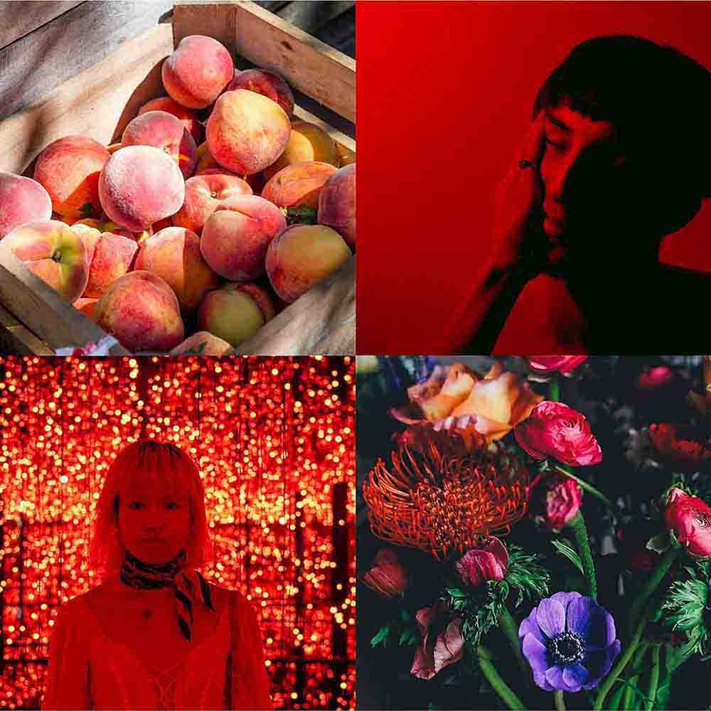 كولور مي بيرفيومرز تشويس فينيكس رقم 4 أو دو بارفان 83 مل