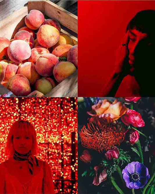 كولور مي بيرفيومرز تشويس فينيكس رقم 4 أو دو بارفان 83 مل