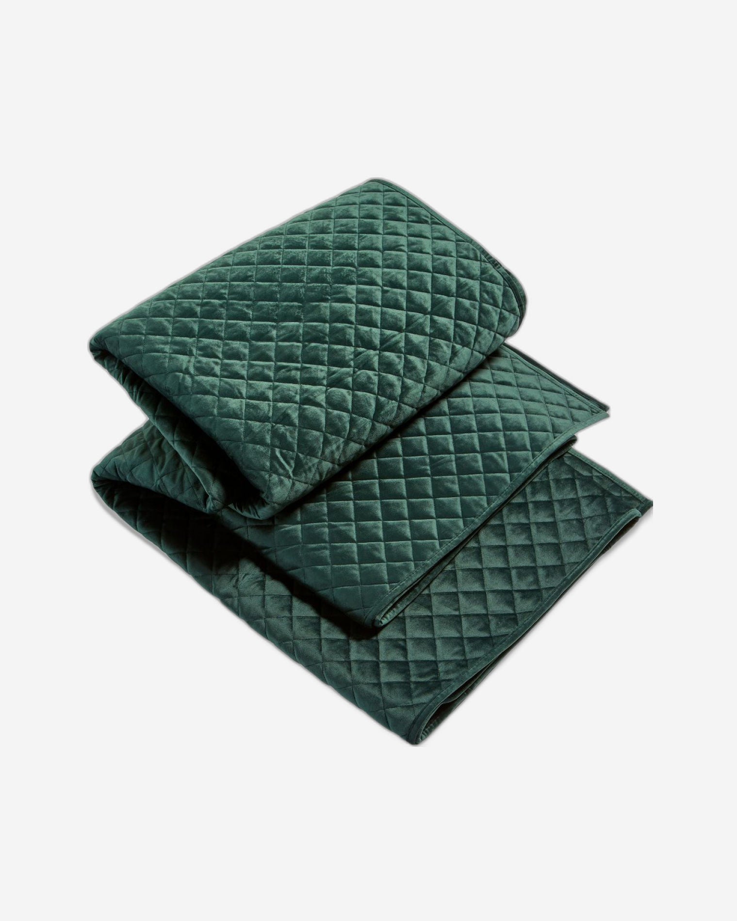 وسادة كريستي إدمونتون المحشوة بالطحلب