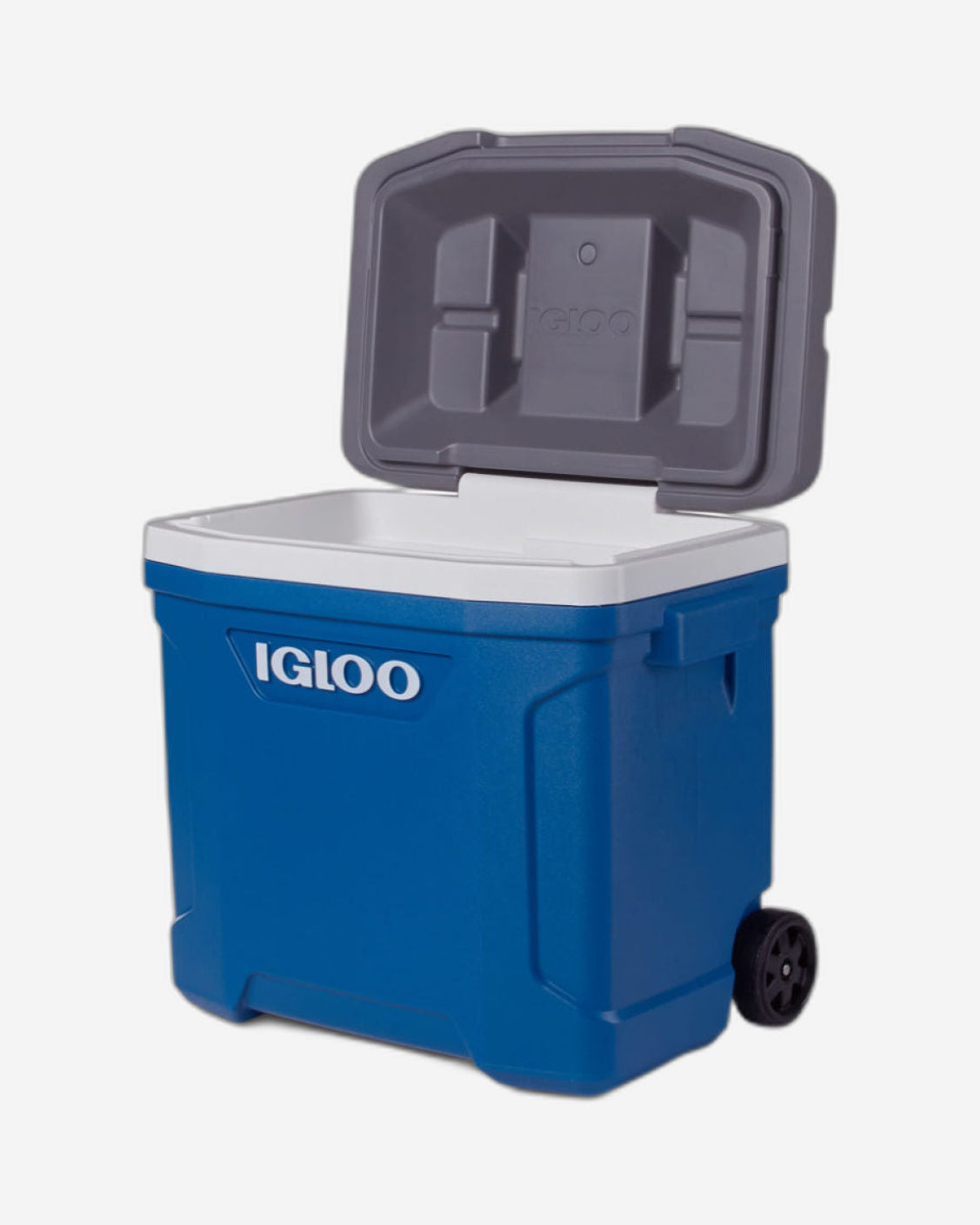 00034658-مبرد أسطواني Igloo-Latitude 30 - أزرق نيلي / نيزكي