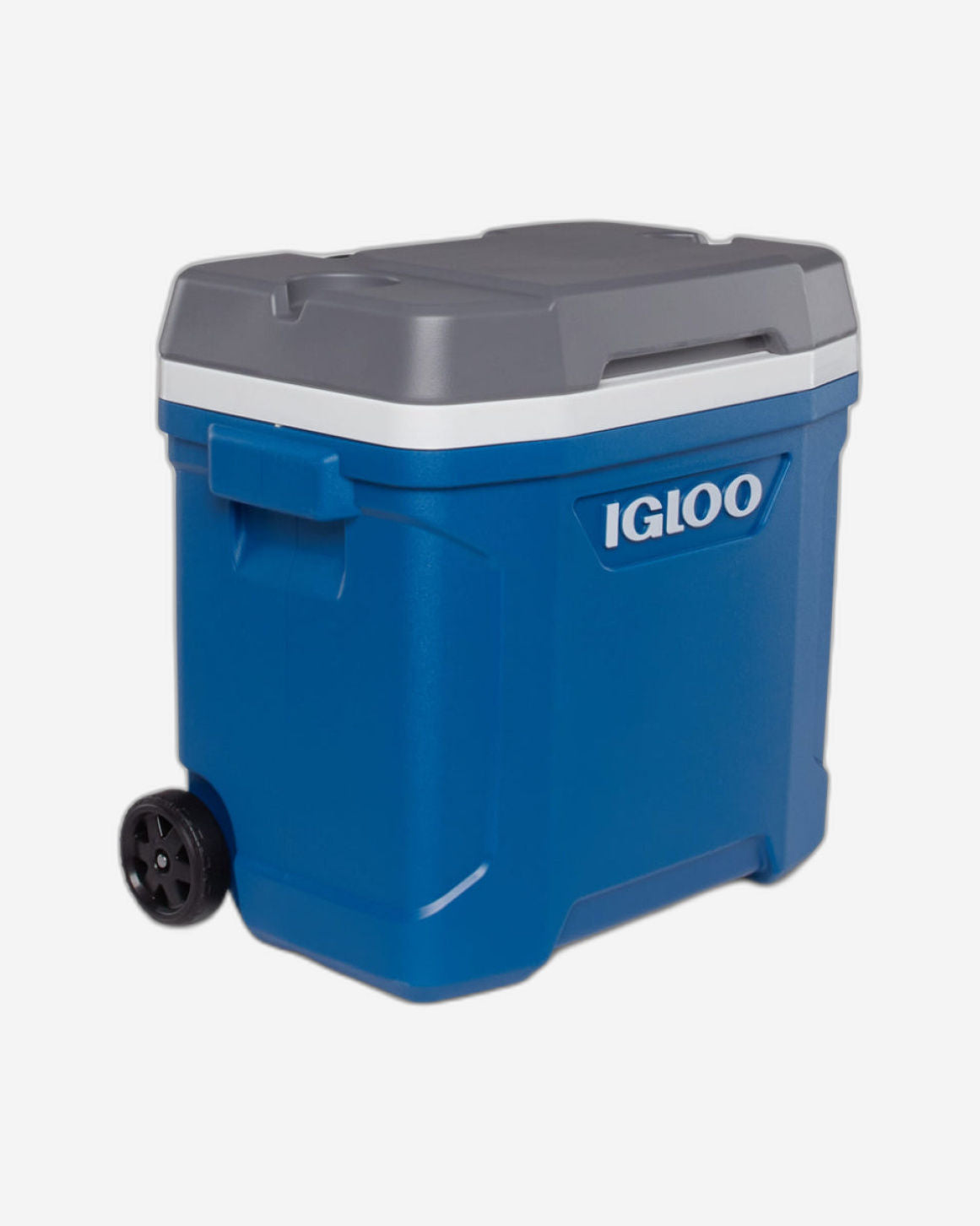 00034658-مبرد أسطواني Igloo-Latitude 30 - أزرق نيلي / نيزكي