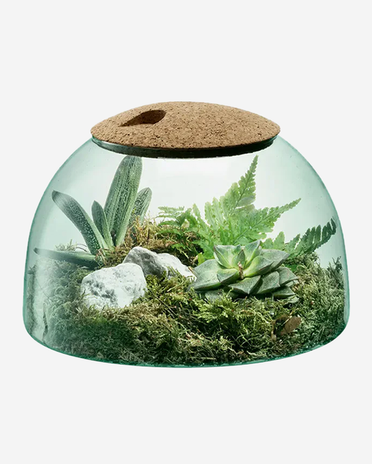 LSA Recycled Canopy Closed Garden H16.5cm