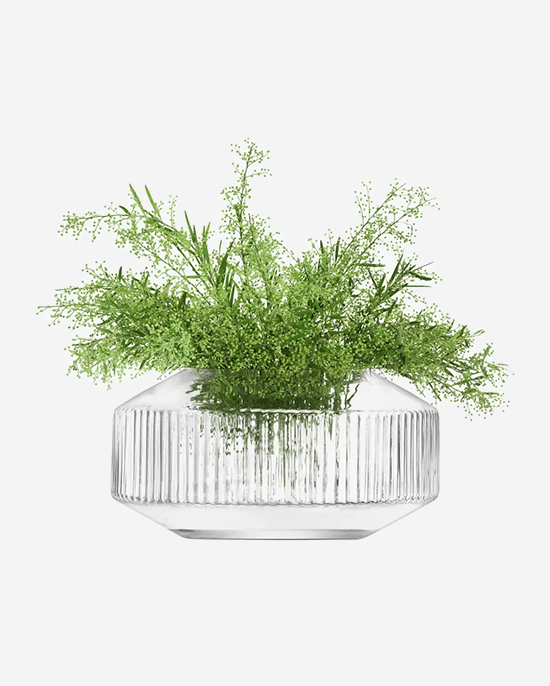 إناء LSA Clear Rotunda الواسع