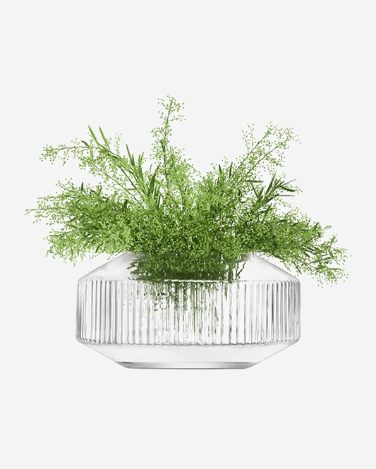 إناء LSA Clear Rotunda الواسع