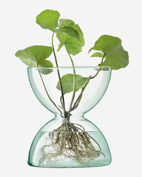 LSA Canopy Vase H24cm Clear