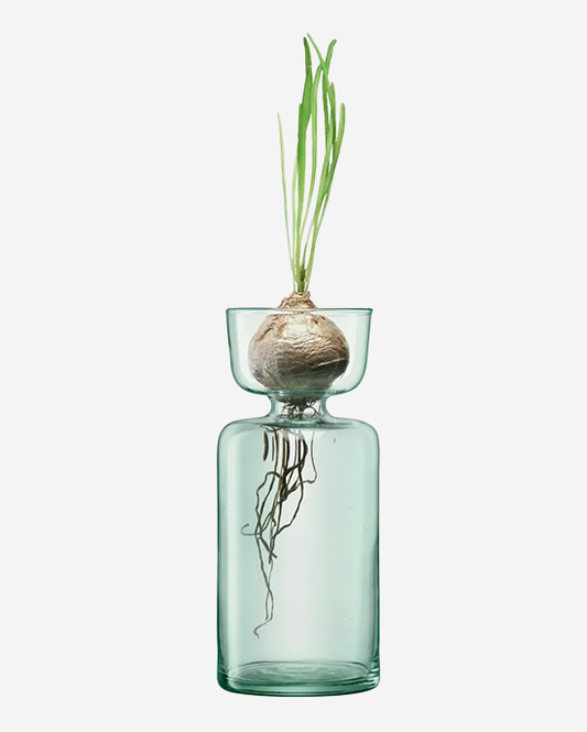 LSA Clear Canopy Vase Bulb Planter H20cm