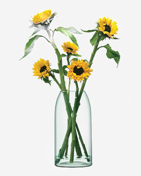 LSA Canopy Vase Recycled
