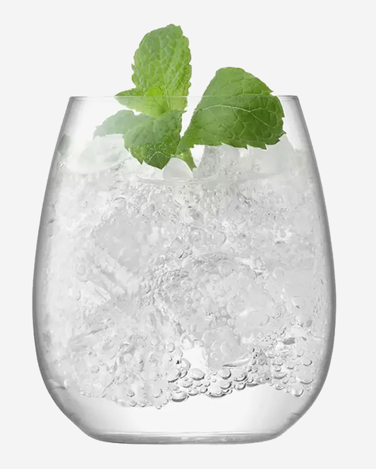 LSA Borough Clear Stemless Glass 455ml