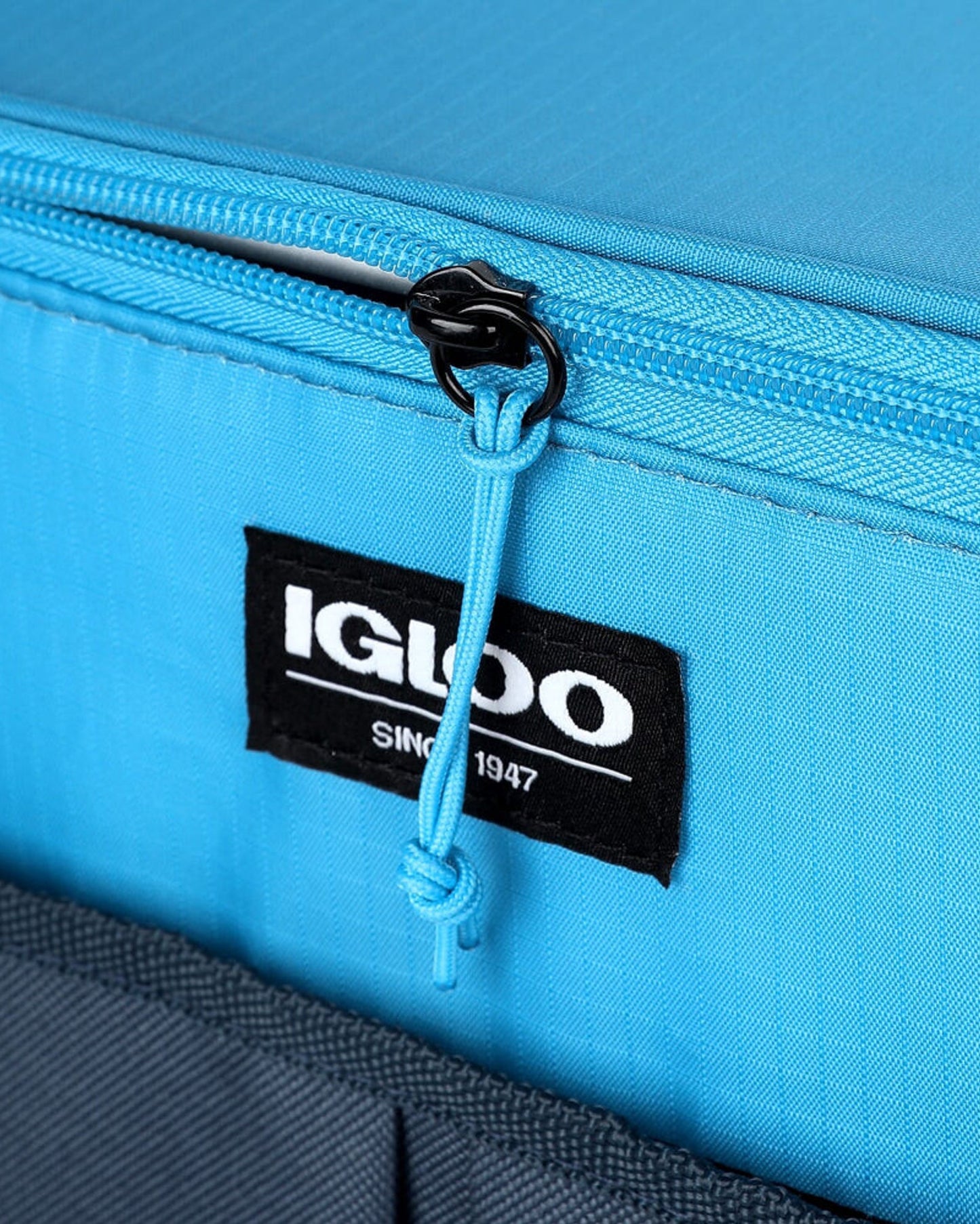 00066204-Igloo-Hlc حقيبة تبريد أساسية سعة 24 قطعة - أزرق