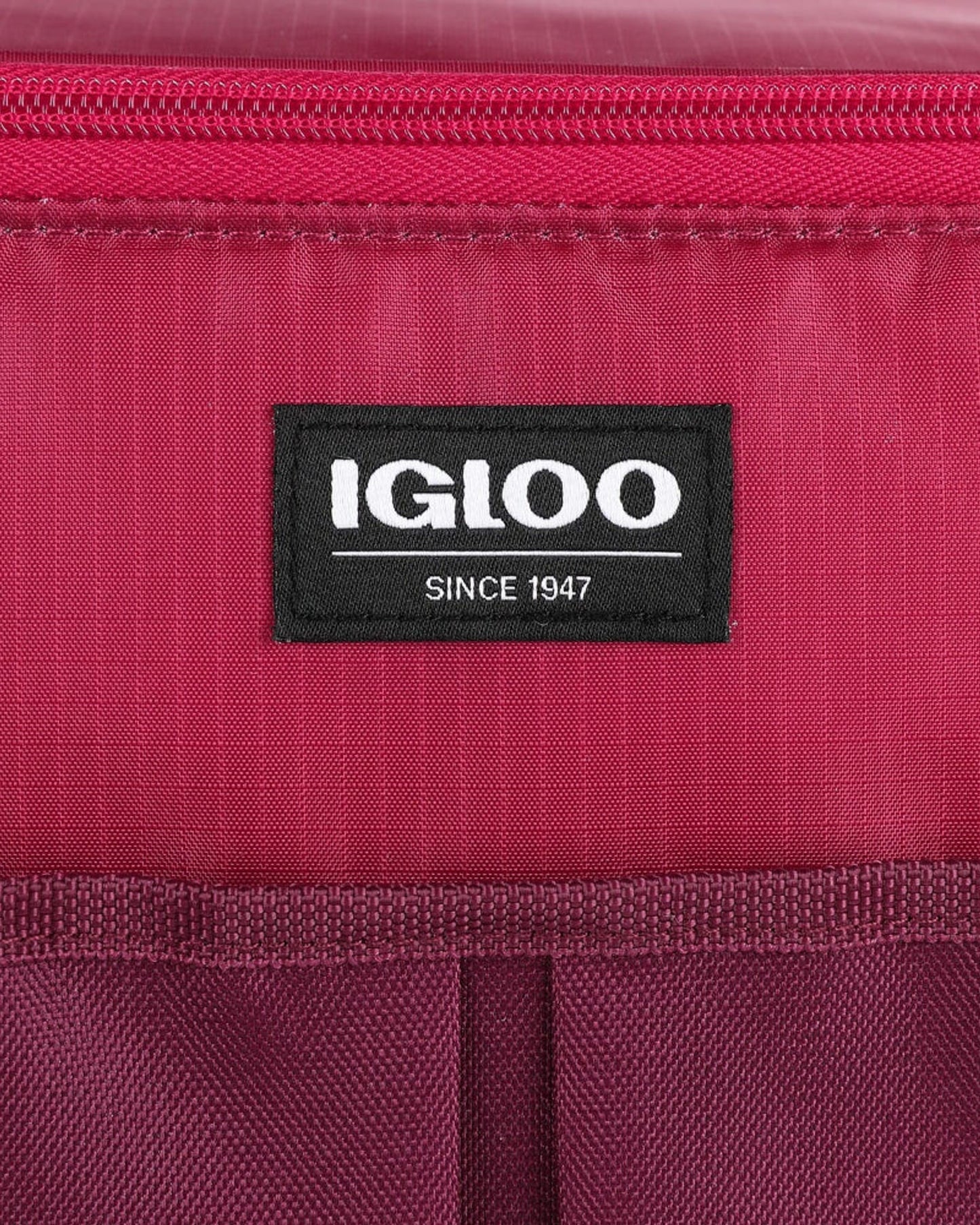 00066406-Igloo-Hlc 24 حقيبة تبريد أساسية - سكوتر. زينفاندل