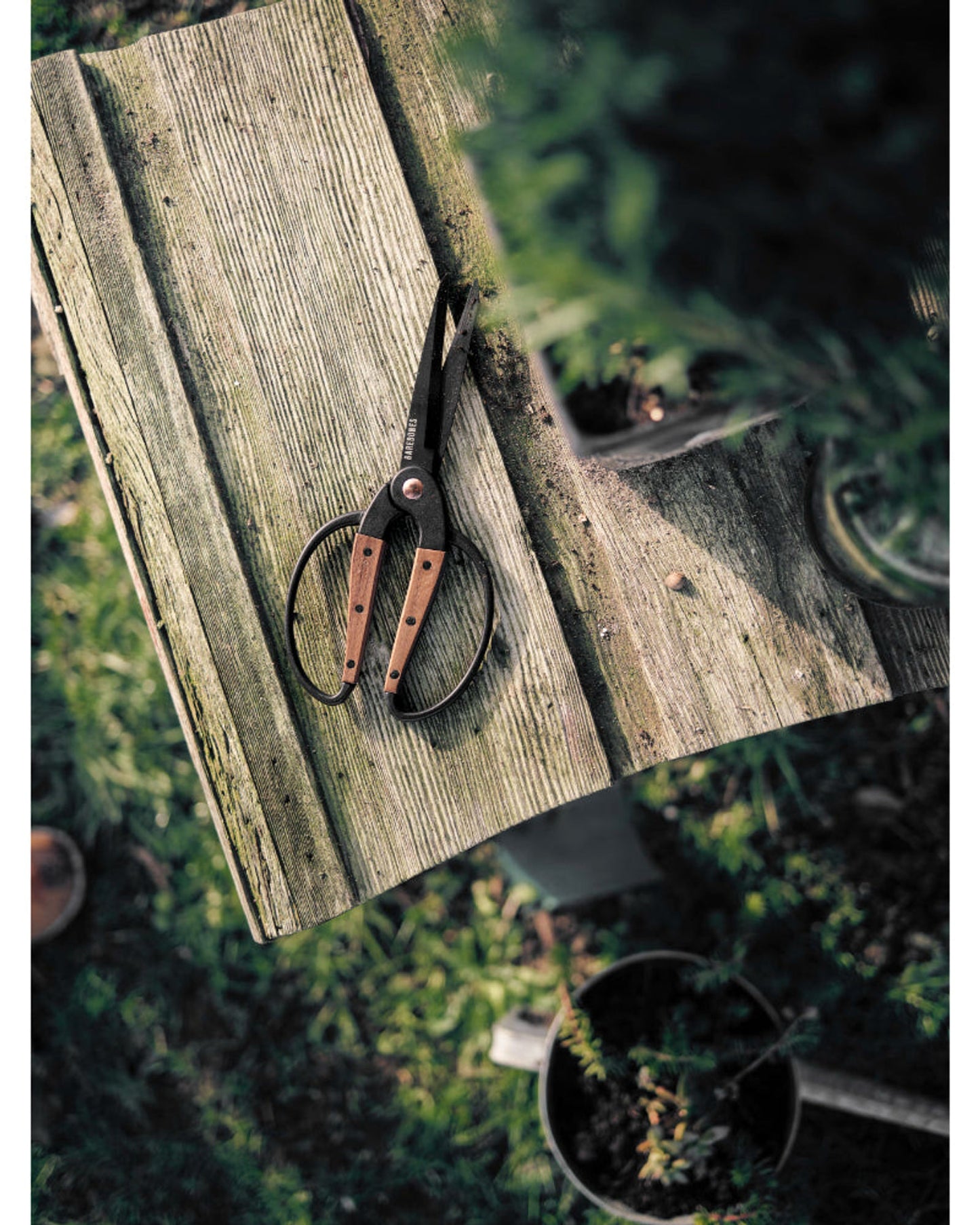 مقصات حديقة بسيطة