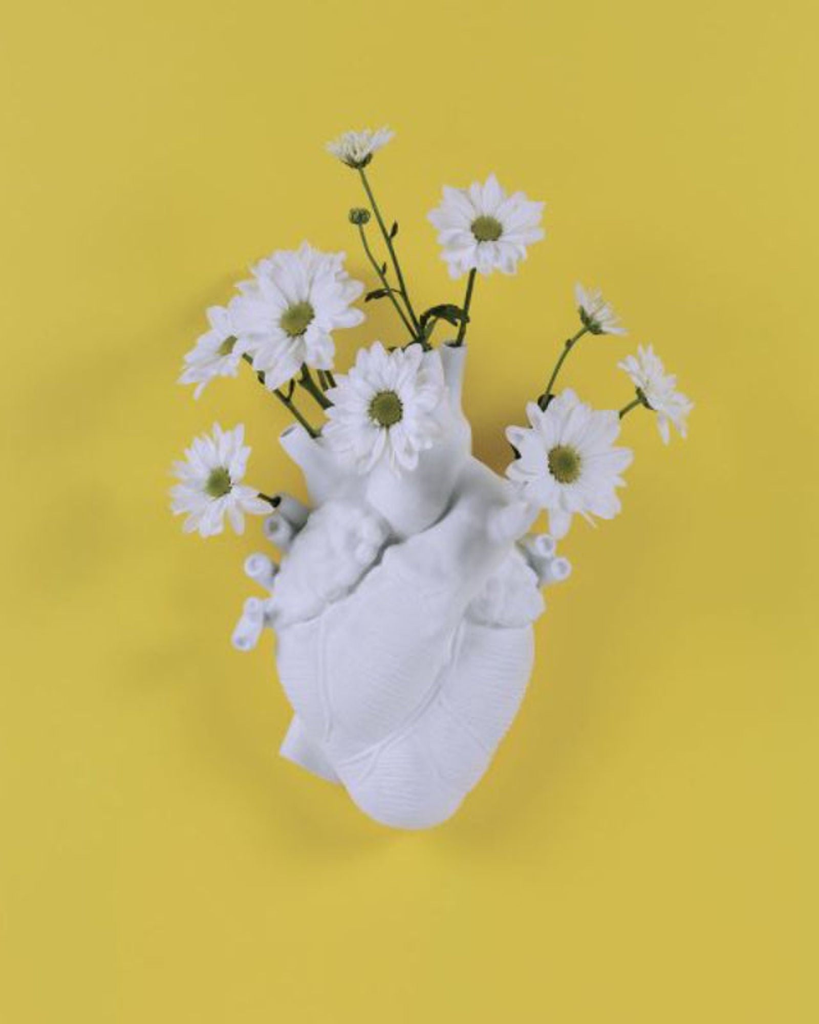 مزهرية سيليتي لوف إن بلوم باللون الأبيض