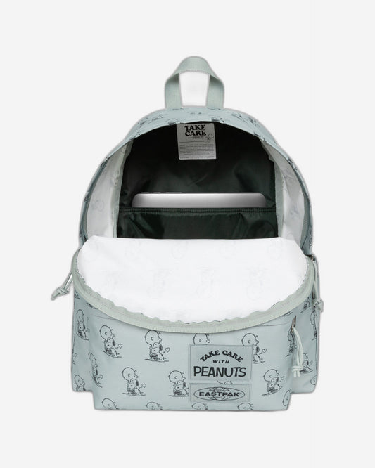 حقيبة ظهر إيستباك داي باك آر بيناتس مينت