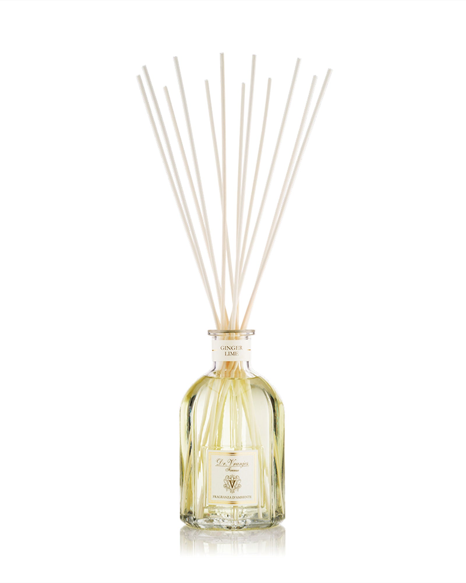 زجاجة فازو الزنجبيل والليمون من دكتور فرانيس، 2500 مل