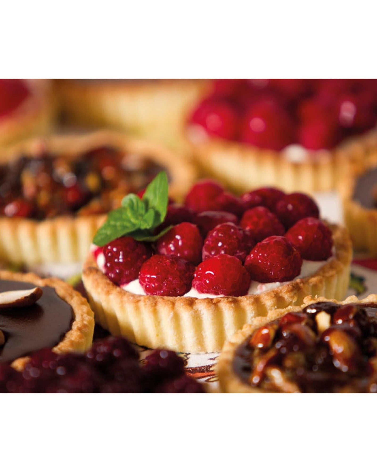 مجموعة قوالب كيك فلان/تارت صغيرة من كي سي، 4 قطع غير لاصقة