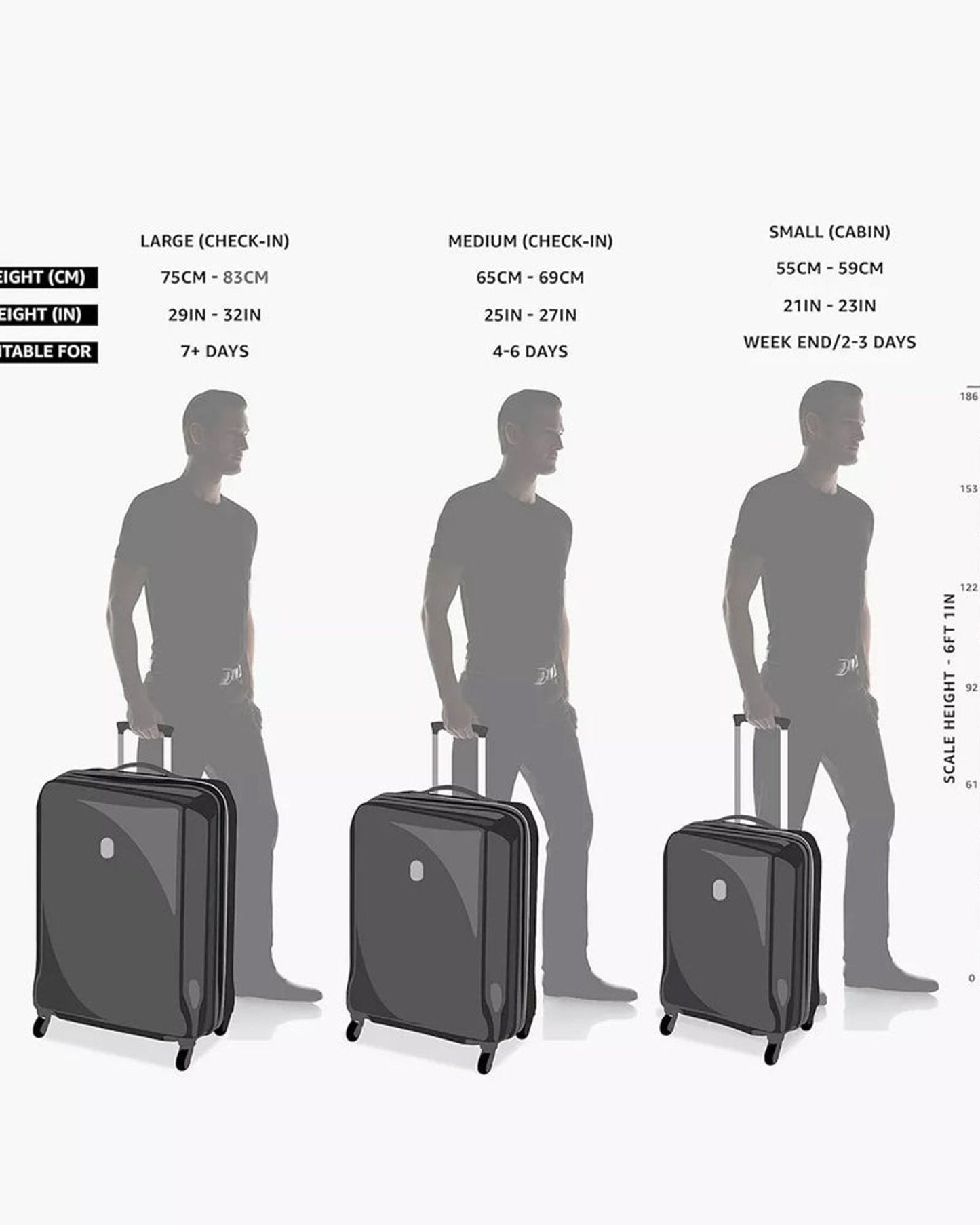 مجموعة حقائب سفر ديلسي باريس سيكيوريتك ديون (3 قطع)