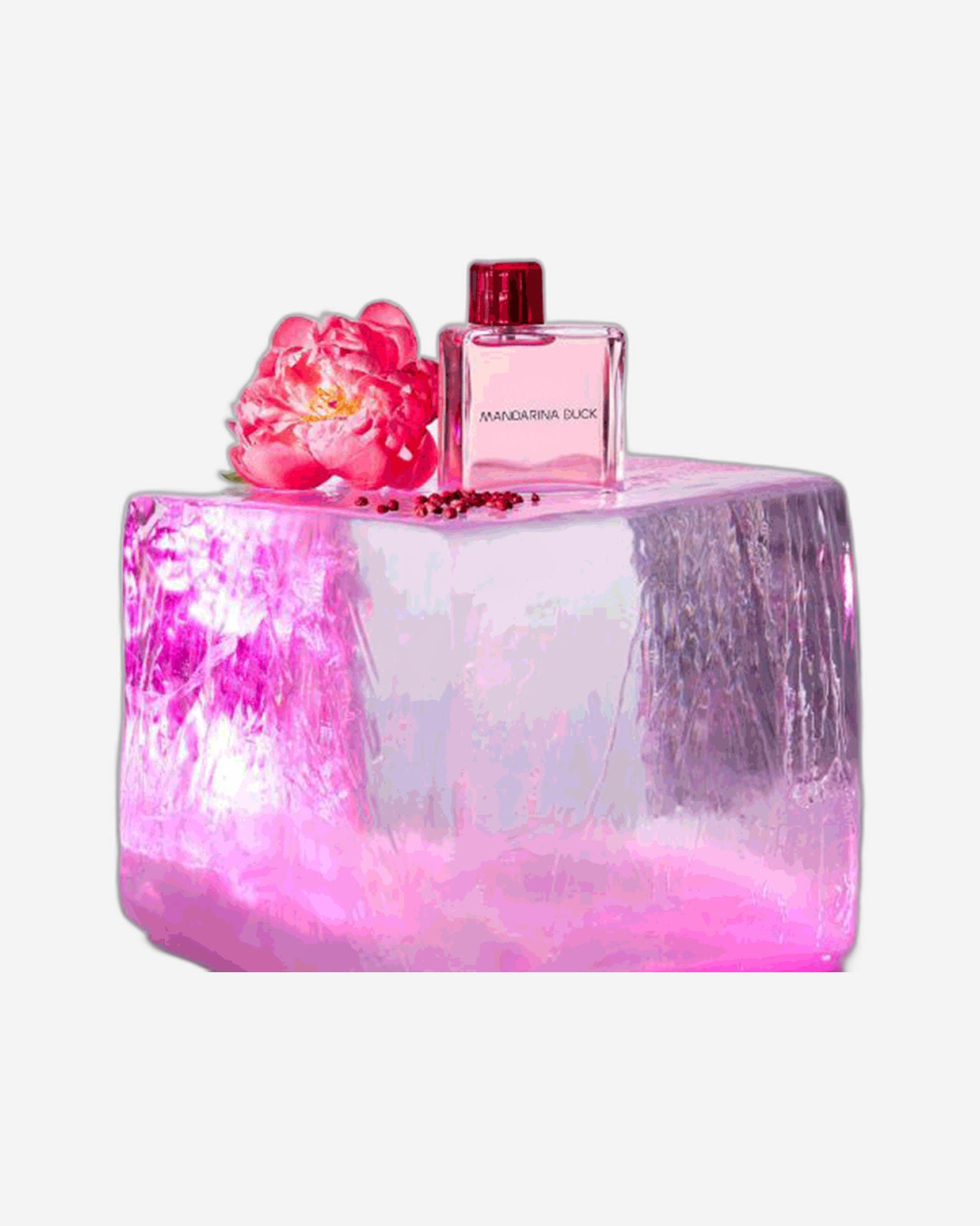 بطة ماندارينا لها