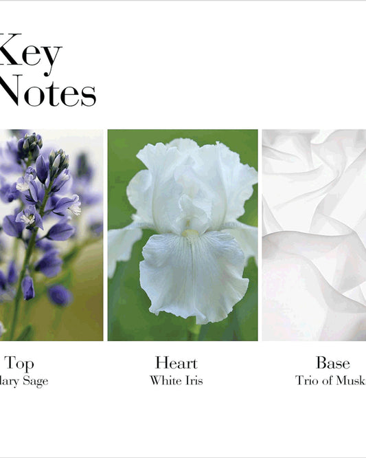 كريم الجسم بالشاي الأبيض من إليزابيث آردن 400 مل