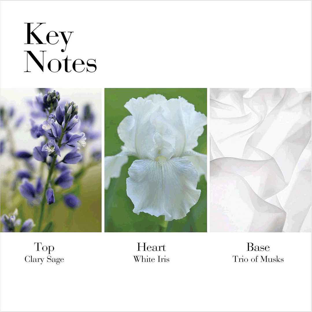 كريم الجسم بالشاي الأبيض من إليزابيث آردن 400 مل