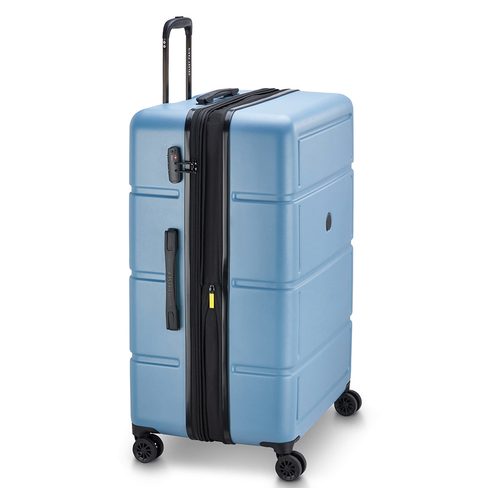 ديلسي باريس كاميليا