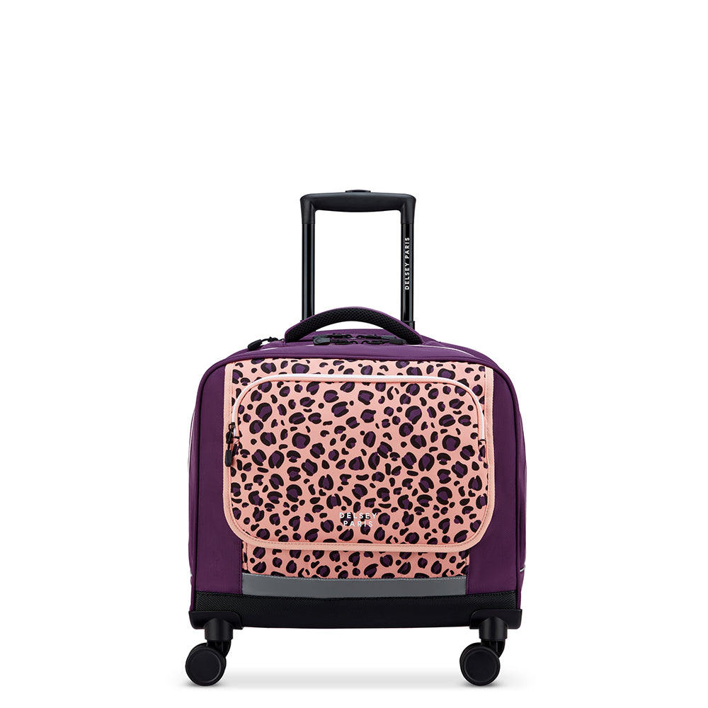 حقيبة كتف ديلسي باريس