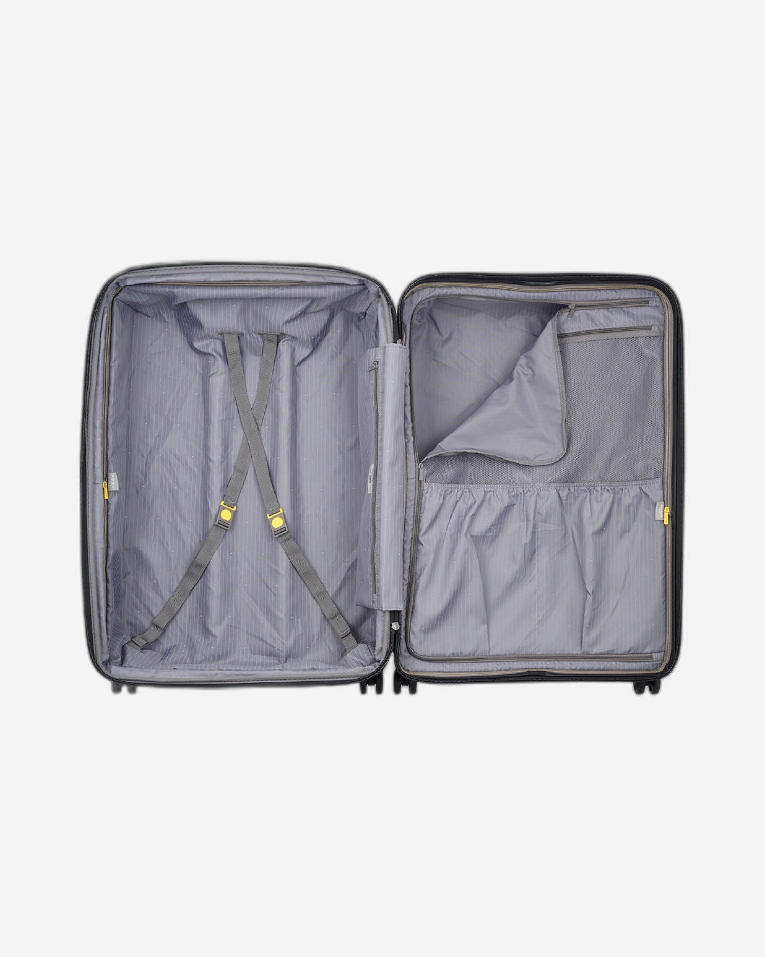 ديلسي باريس بروميناد هارد 2.0