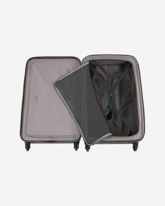 فيكتورينوكس إيثيريوس