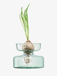 LSA Canopy Vase/Bulb Planter Clear
