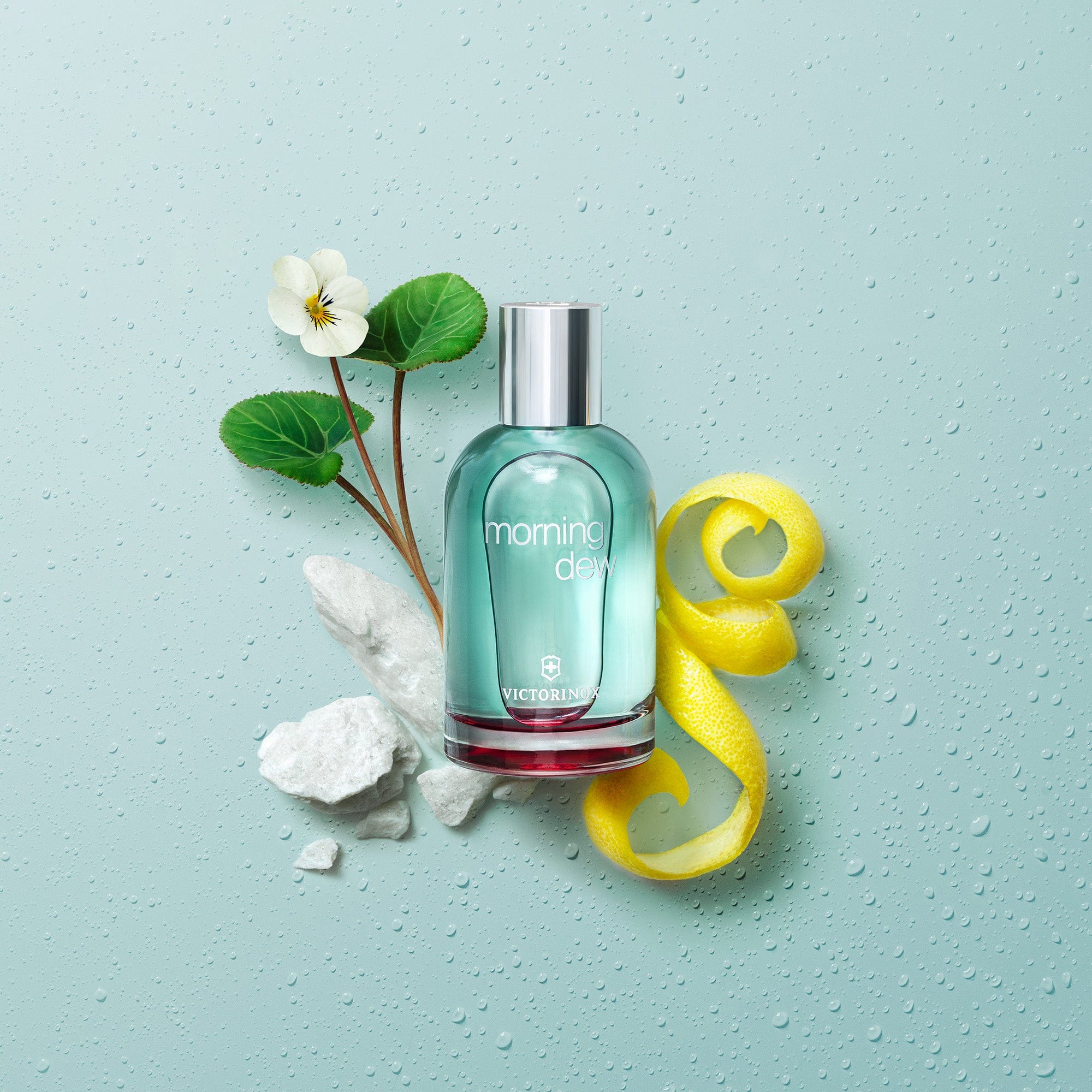 فيكتورينوكس مورنينج ديو للنساء - أو دو تواليت، 100 مل