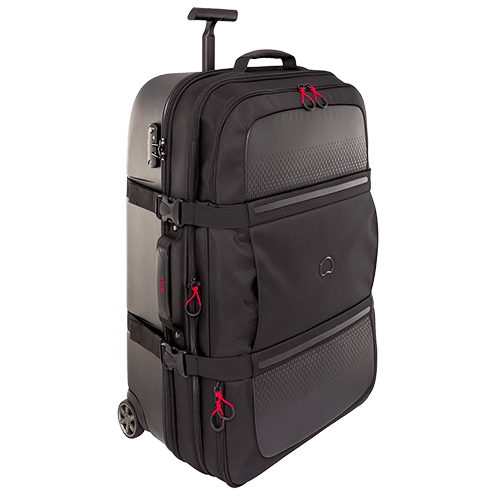 ديلسي باريس مونتسوريس