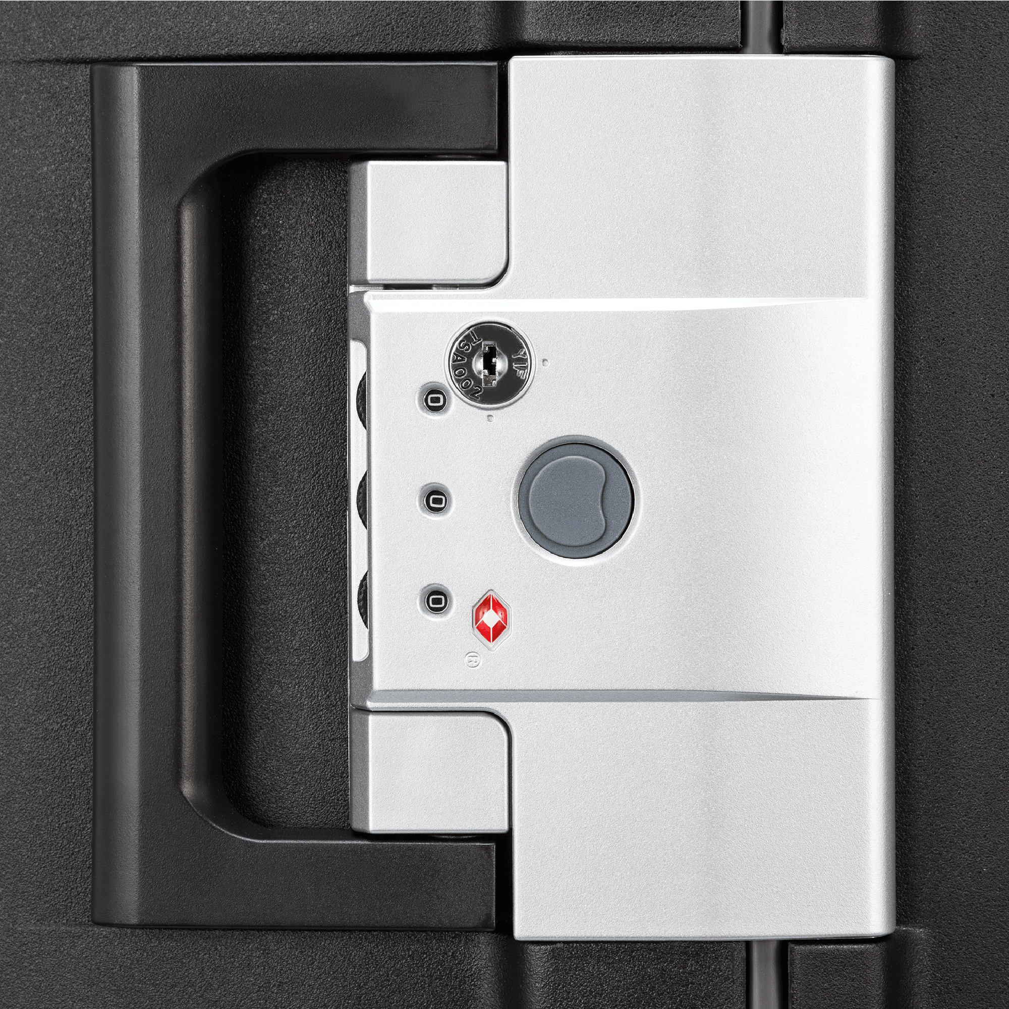 ديلسي باريس بلفور