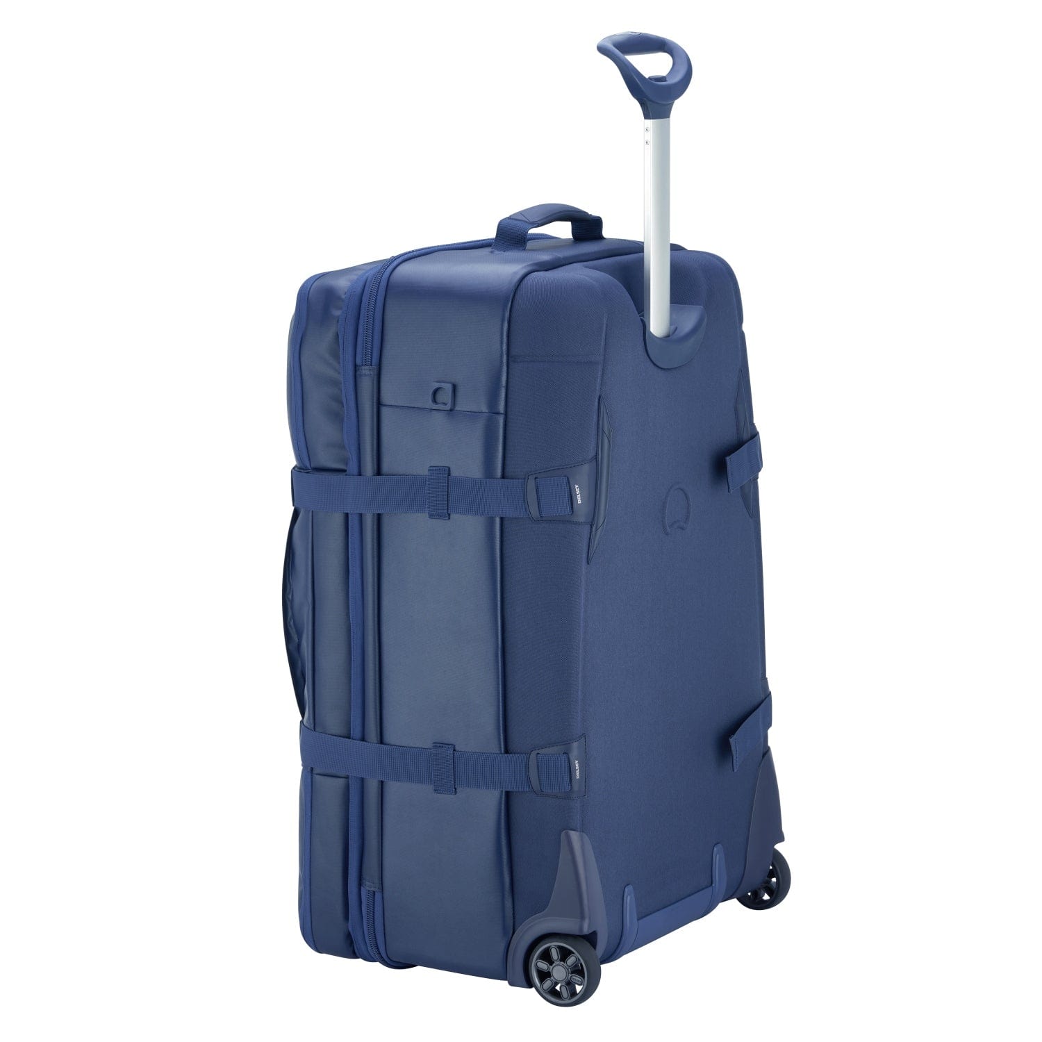 ديلسي باريس مونتسوريس